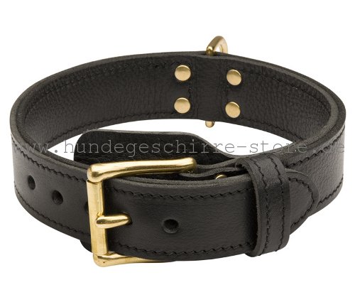 Leder Halsband, dauerhaft