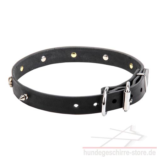 halsband spikes und schädel luxus hundeshop