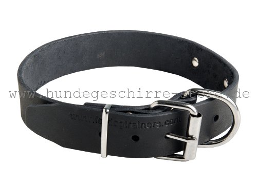 Leder Hundehalsband, stark