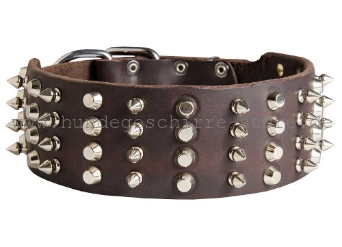 Leder Halsband, stilvoll