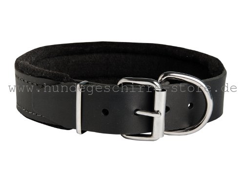 Leder Hundehalsband, bequem