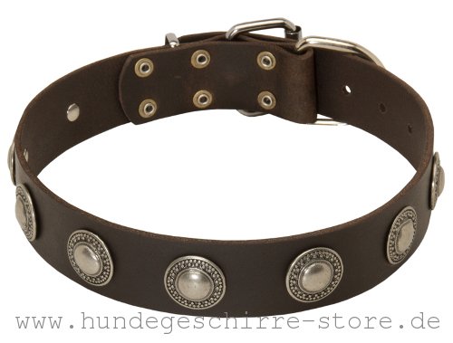 Leder Hundehalsband, vernietet