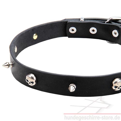 enges hundehalsband schädel und spikes luxus hundeshop