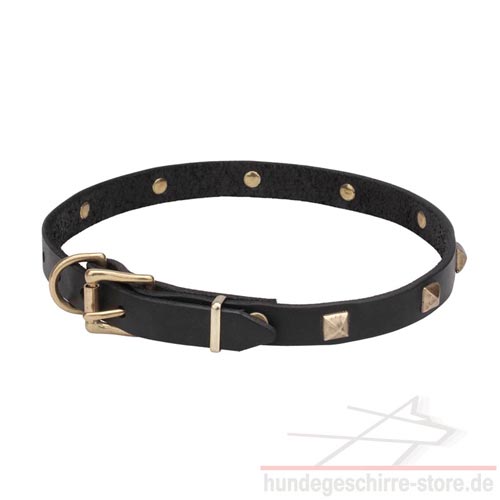 halsband hund genietet messing hundeshop