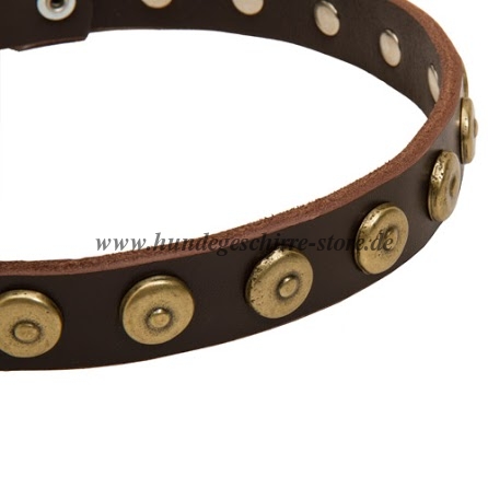 Buy dog ​​leather
collar with brass circles