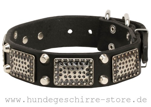 Leder Hundehalsband, einzigartig