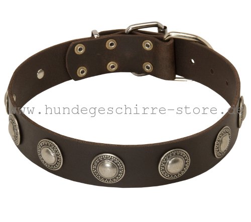 Leder Hundehalsband, schön