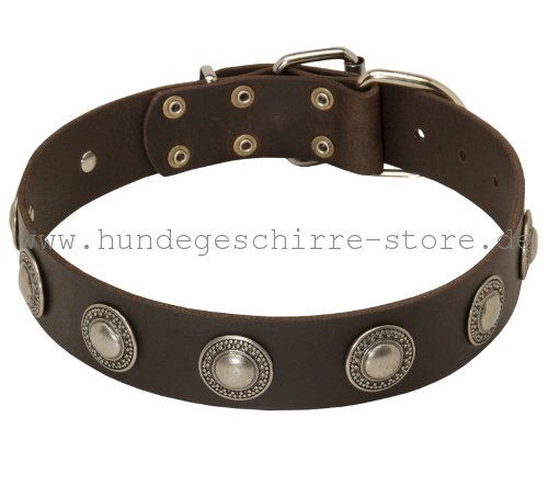 Leder Hundehalsband, schön