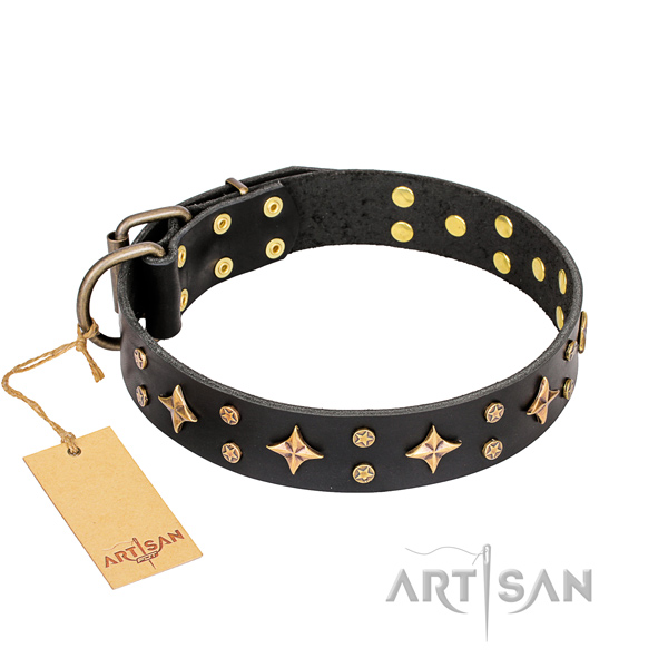  Collars leather buy online