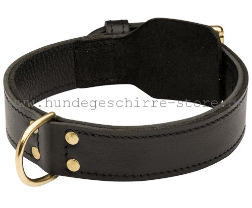 Leder Halsband, stark