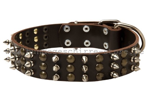 Leder Halsband, stilvoll