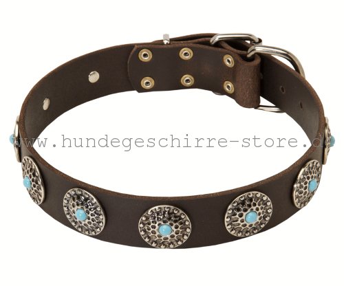 Leder Hundehalsband, hochwertig