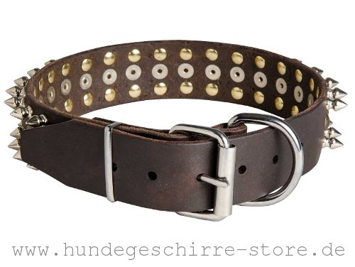 sicheres Leder Halsband