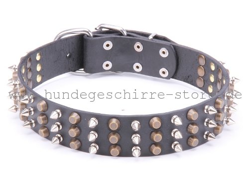 vernietetes Leder Hundehalsband 