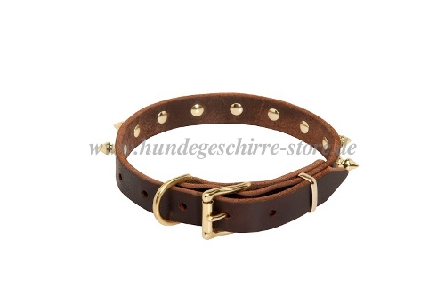 Hunde
Lederhalsband mit Spikes kaufen