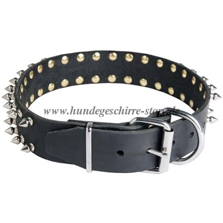 Hunde
Lederhalsband mit Spikes kaufen