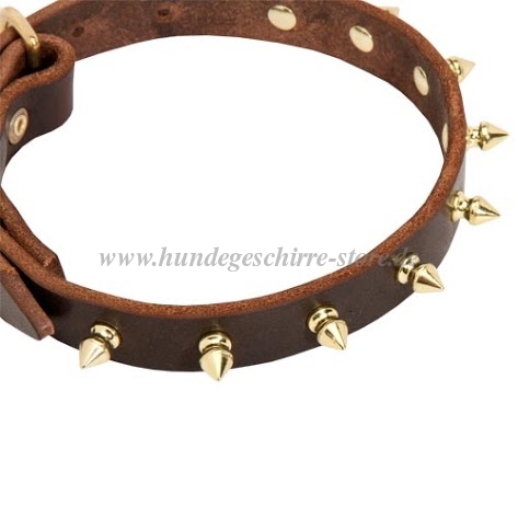 Leder Halsband mit
Reihe von Spikes