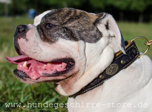 Hundehalsband aus Leder, robust