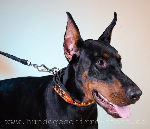 Leder Hundehalsband, dauerhaft