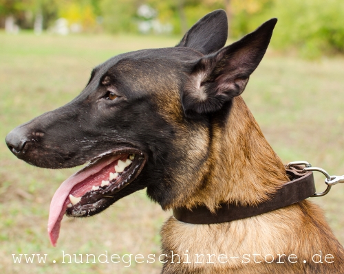 Hundehalsband aus Leder, strapazierfähig