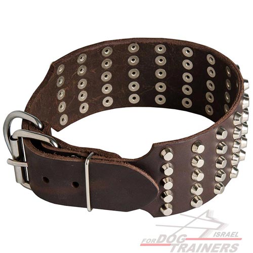 Leder Hundehalsband, dauerhaft