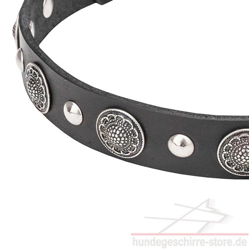 enges hundehalsband conchos und nieten luxus hundeshop