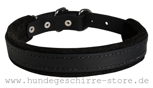 Leder Hundehalsband, stark