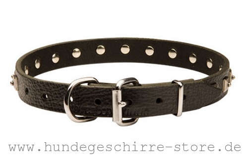 Leder Hundehalsband, ungewöhnlich