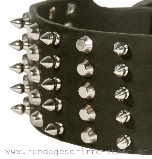 Leder Hundehalsband mit vernieteten Schmucken