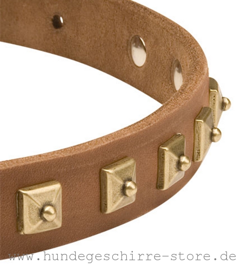  Hundehalsband Leder, praktisch