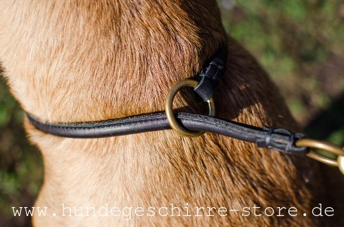 Leder Hundehalsband, hochwertig