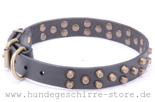 gut bearbeitetes Leder Hundehalsband