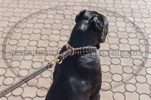 Geflochtenes Lederhalsband für Hunde mit Messing Beschlägen 