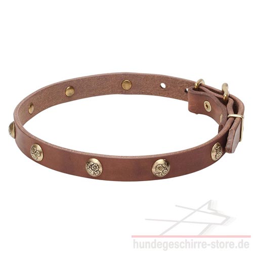 lederhalsband hund handgemacht messing nieten