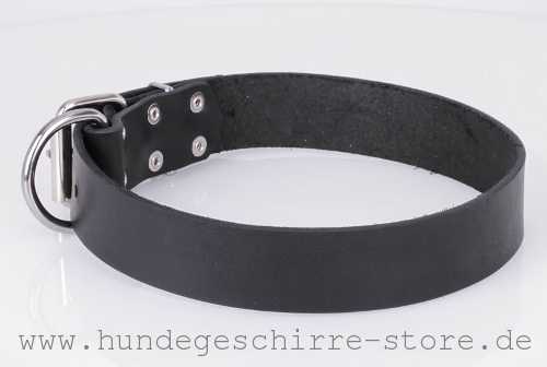  Leder Hundehalsband, wertvoll