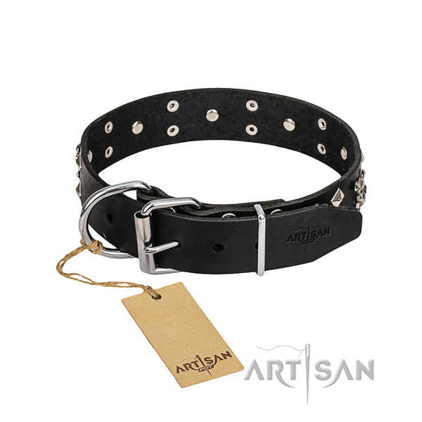 Leder Hundehalsband online kaufen