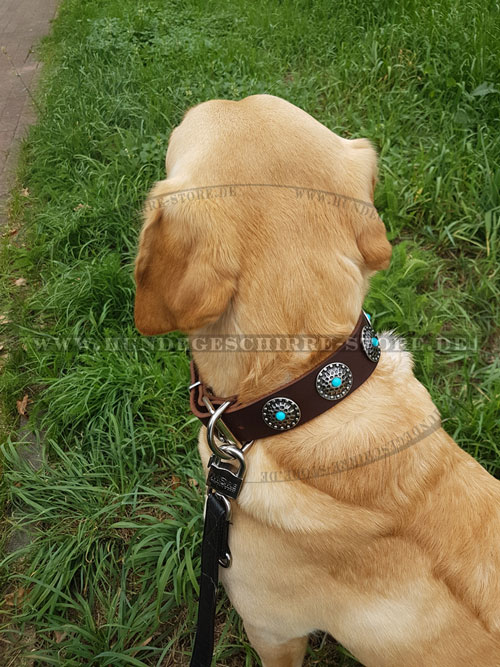 Leder Hundehalsband für Labrador