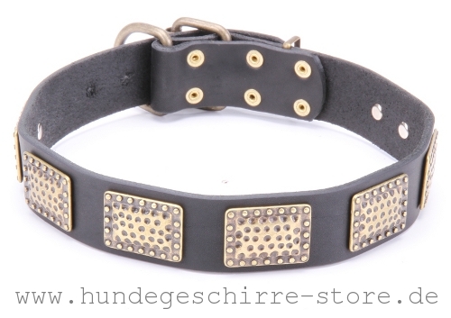 Leder Hundehalsband, gut bearbeitet