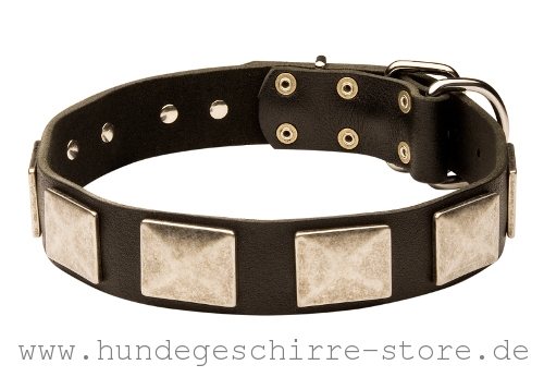 Leder Hundehalsband, wunderschönes Design