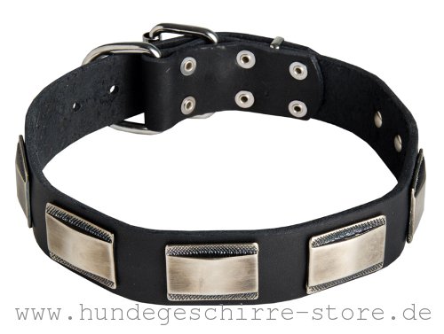 Leder Hundehalsband, abriebfest