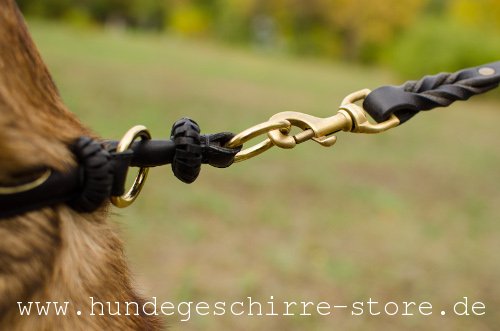  Hundehalsband aus Leder, schön