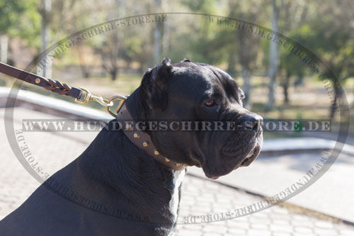 Leder Hundehalsband, Handarbeit