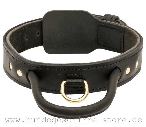 hochwertiges Hundehalsband aus Leder