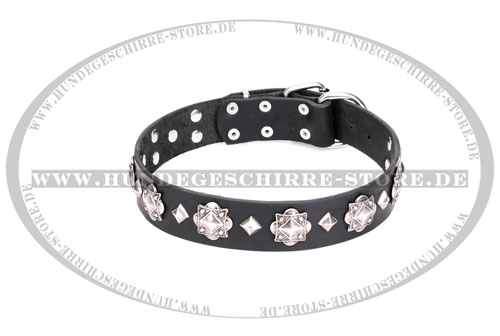 Hundehalsband Leder, praktisch