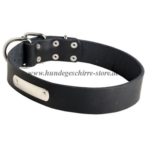 Buy dog leather collar with
name tag
