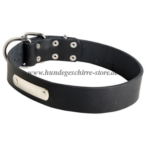 Hunde Lederhalsband mit Namensschild kaufen