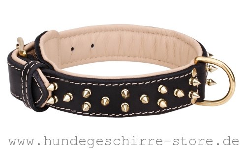 Leder Hundehalsband, herrliches Design