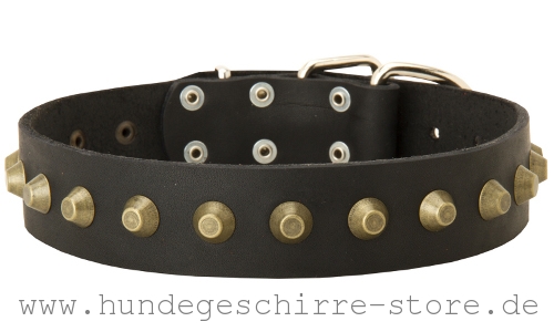 Leder Hundehalsband mit vernieteten Metallteilen