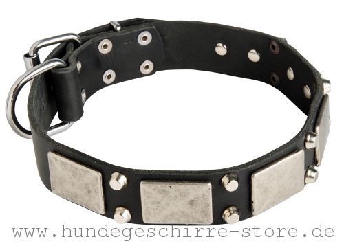  Hundehalsband aus Leder, wertvoll