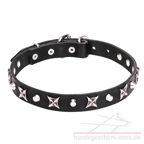 Leder Hundehalsband, stilvoll